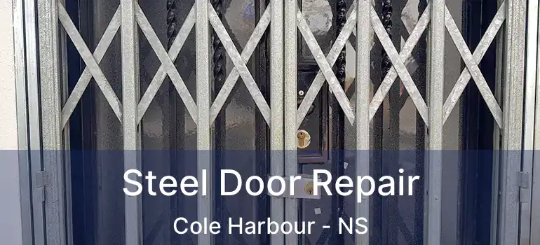  Steel Door Repair Cole Harbour - NS