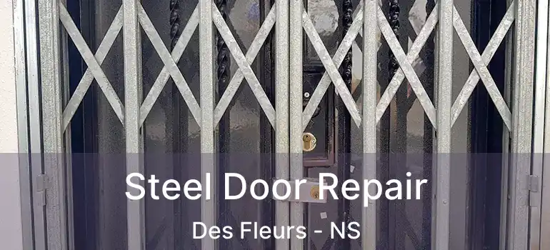  Steel Door Repair Des Fleurs - NS