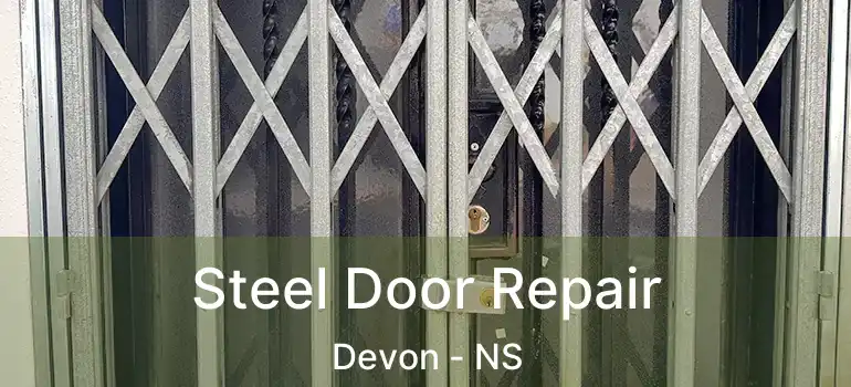  Steel Door Repair Devon - NS