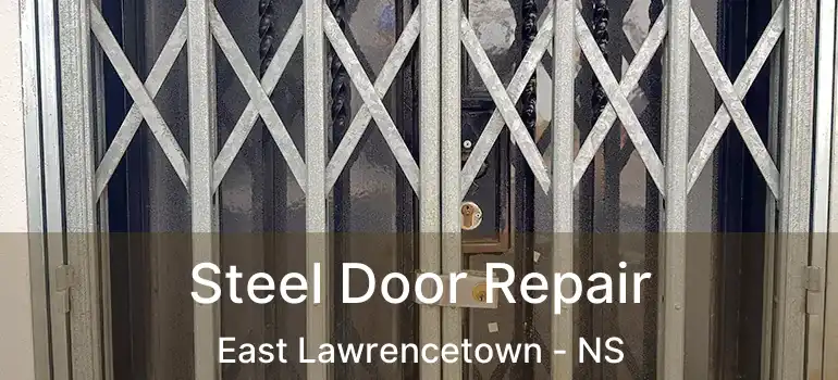  Steel Door Repair East Lawrencetown - NS