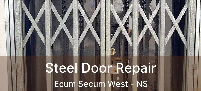  Steel Door Repair Ecum Secum West - NS