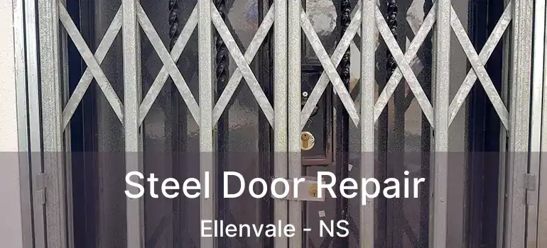  Steel Door Repair Ellenvale - NS