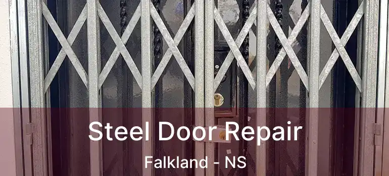  Steel Door Repair Falkland - NS