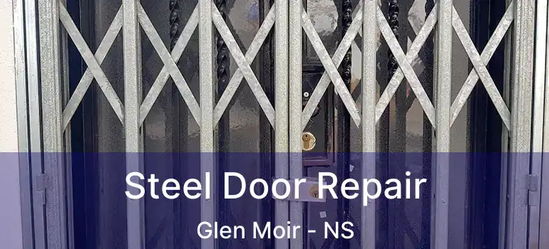  Steel Door Repair Glen Moir - NS