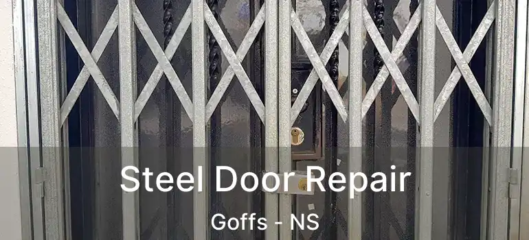  Steel Door Repair Goffs - NS