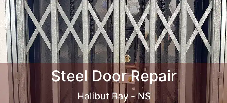  Steel Door Repair Halibut Bay - NS