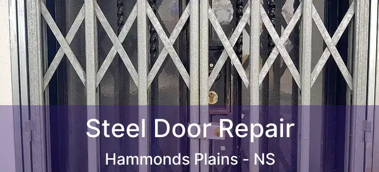  Steel Door Repair Hammonds Plains - NS