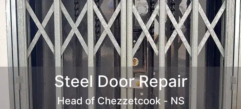  Steel Door Repair Head of Chezzetcook - NS