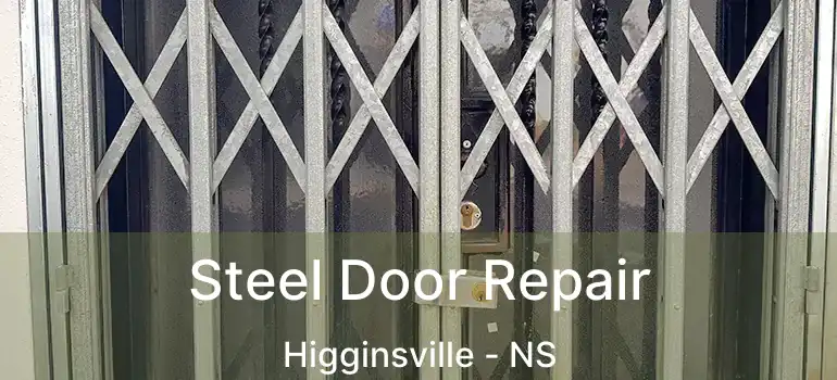  Steel Door Repair Higginsville - NS