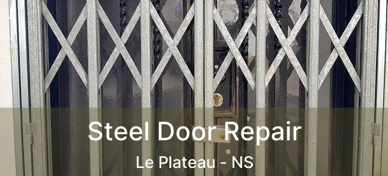  Steel Door Repair Le Plateau - NS