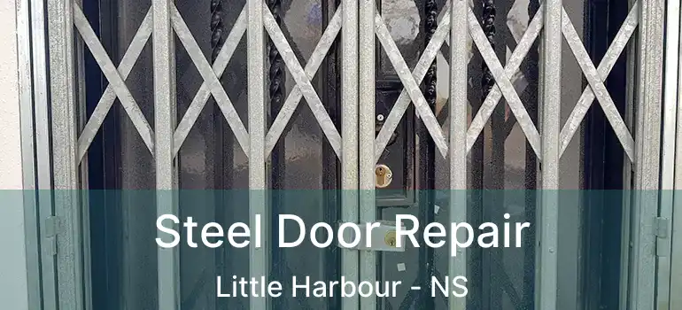  Steel Door Repair Little Harbour - NS