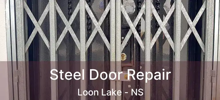  Steel Door Repair Loon Lake - NS