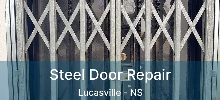  Steel Door Repair Lucasville - NS