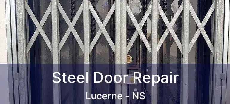  Steel Door Repair Lucerne - NS