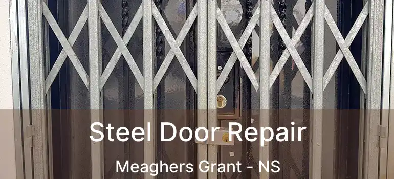  Steel Door Repair Meaghers Grant - NS