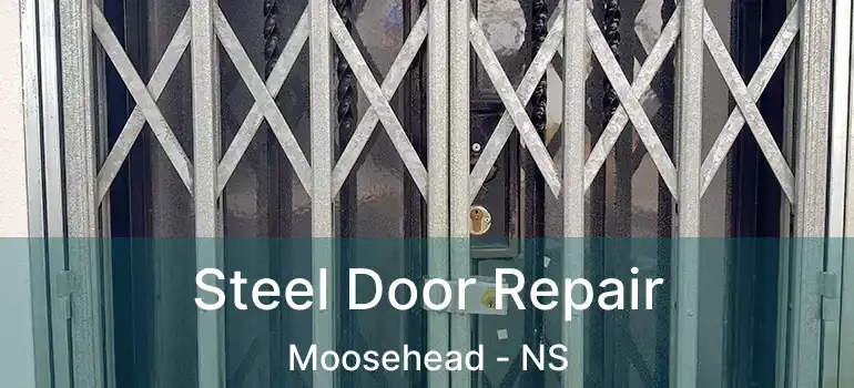  Steel Door Repair Moosehead - NS