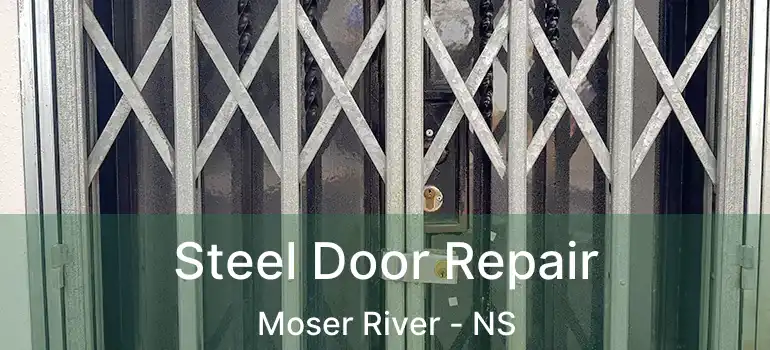  Steel Door Repair Moser River - NS