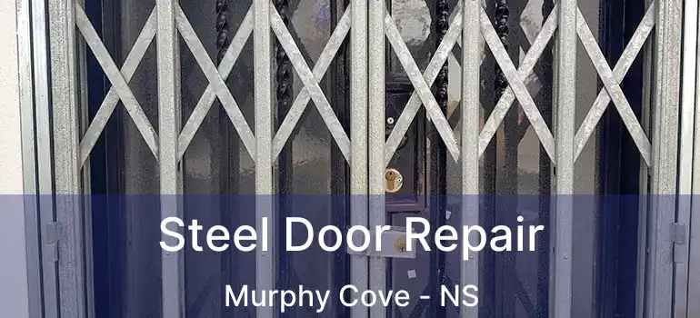  Steel Door Repair Murphy Cove - NS