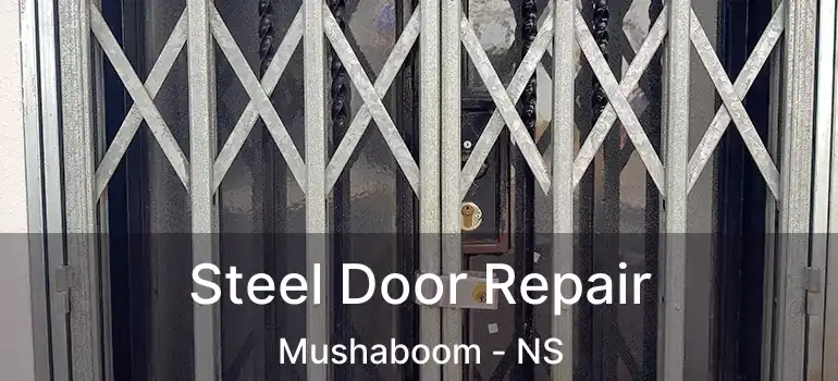  Steel Door Repair Mushaboom - NS