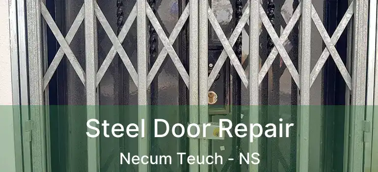  Steel Door Repair Necum Teuch - NS