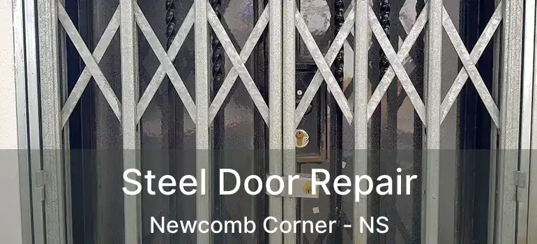  Steel Door Repair Newcomb Corner - NS