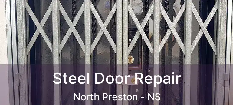  Steel Door Repair North Preston - NS