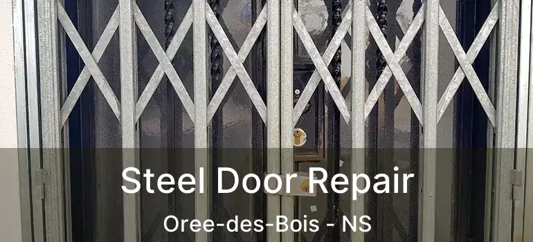  Steel Door Repair Oree-des-Bois - NS