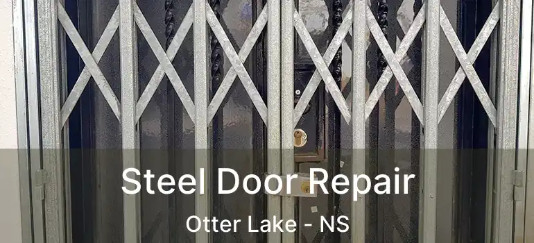  Steel Door Repair Otter Lake - NS