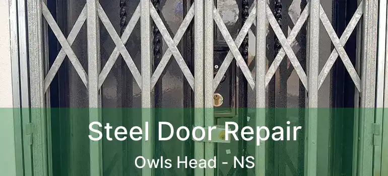  Steel Door Repair Owls Head - NS