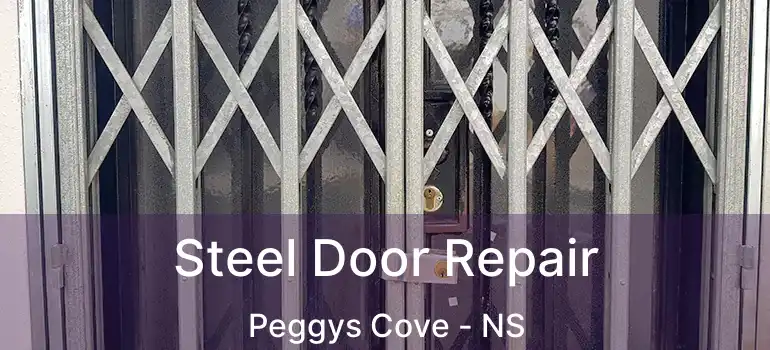  Steel Door Repair Peggys Cove - NS