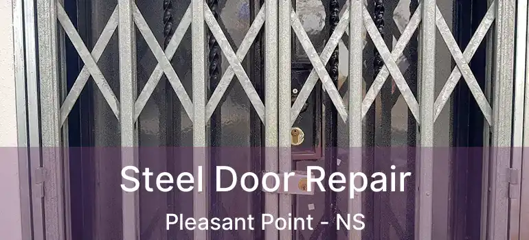  Steel Door Repair Pleasant Point - NS