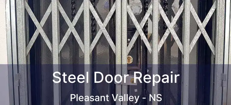  Steel Door Repair Pleasant Valley - NS