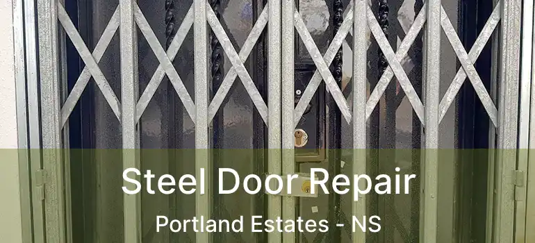  Steel Door Repair Portland Estates - NS