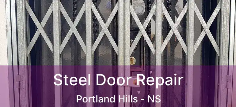  Steel Door Repair Portland Hills - NS