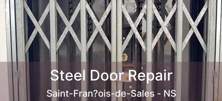  Steel Door Repair Saint-Fran?ois-de-Sales - NS