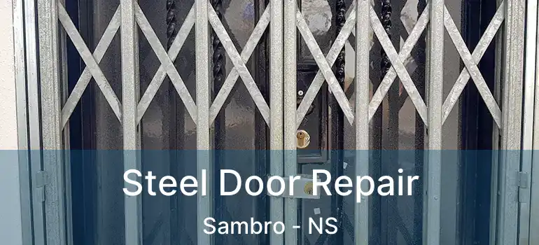  Steel Door Repair Sambro - NS