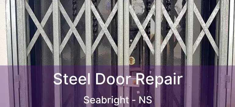  Steel Door Repair Seabright - NS