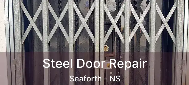  Steel Door Repair Seaforth - NS