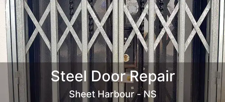  Steel Door Repair Sheet Harbour - NS