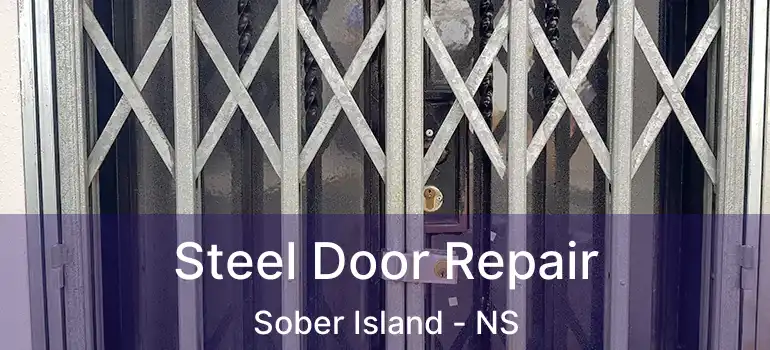  Steel Door Repair Sober Island - NS