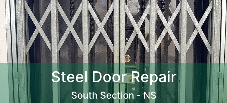  Steel Door Repair South Section - NS