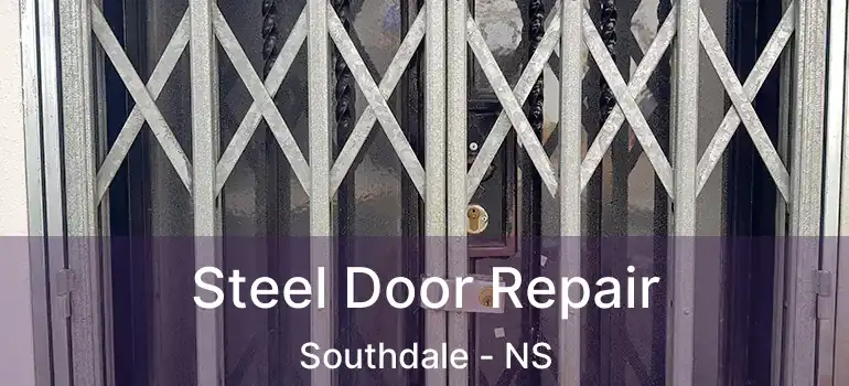  Steel Door Repair Southdale - NS