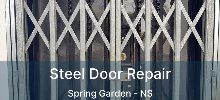  Steel Door Repair Spring Garden - NS