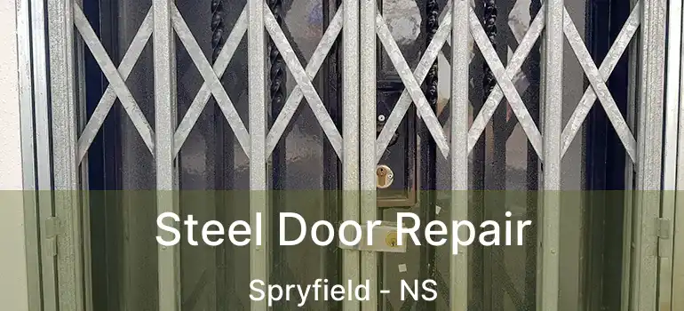  Steel Door Repair Spryfield - NS