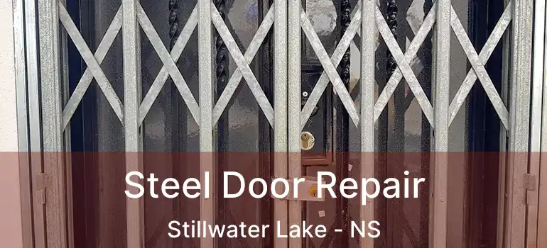  Steel Door Repair Stillwater Lake - NS