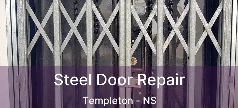  Steel Door Repair Templeton - NS