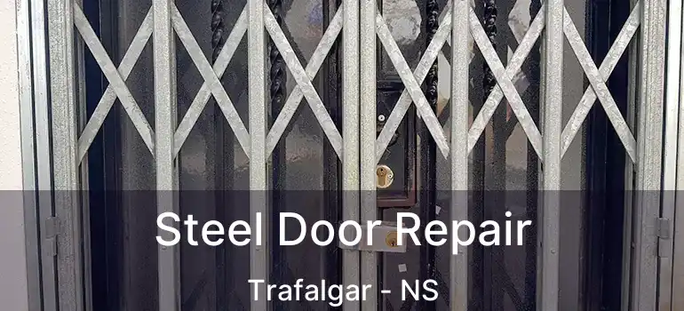  Steel Door Repair Trafalgar - NS