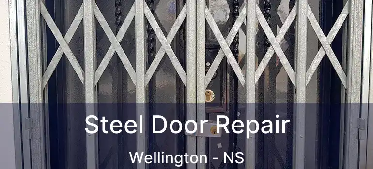  Steel Door Repair Wellington - NS