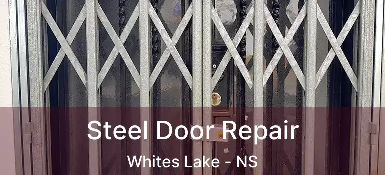  Steel Door Repair Whites Lake - NS