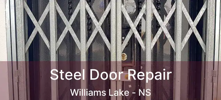  Steel Door Repair Williams Lake - NS